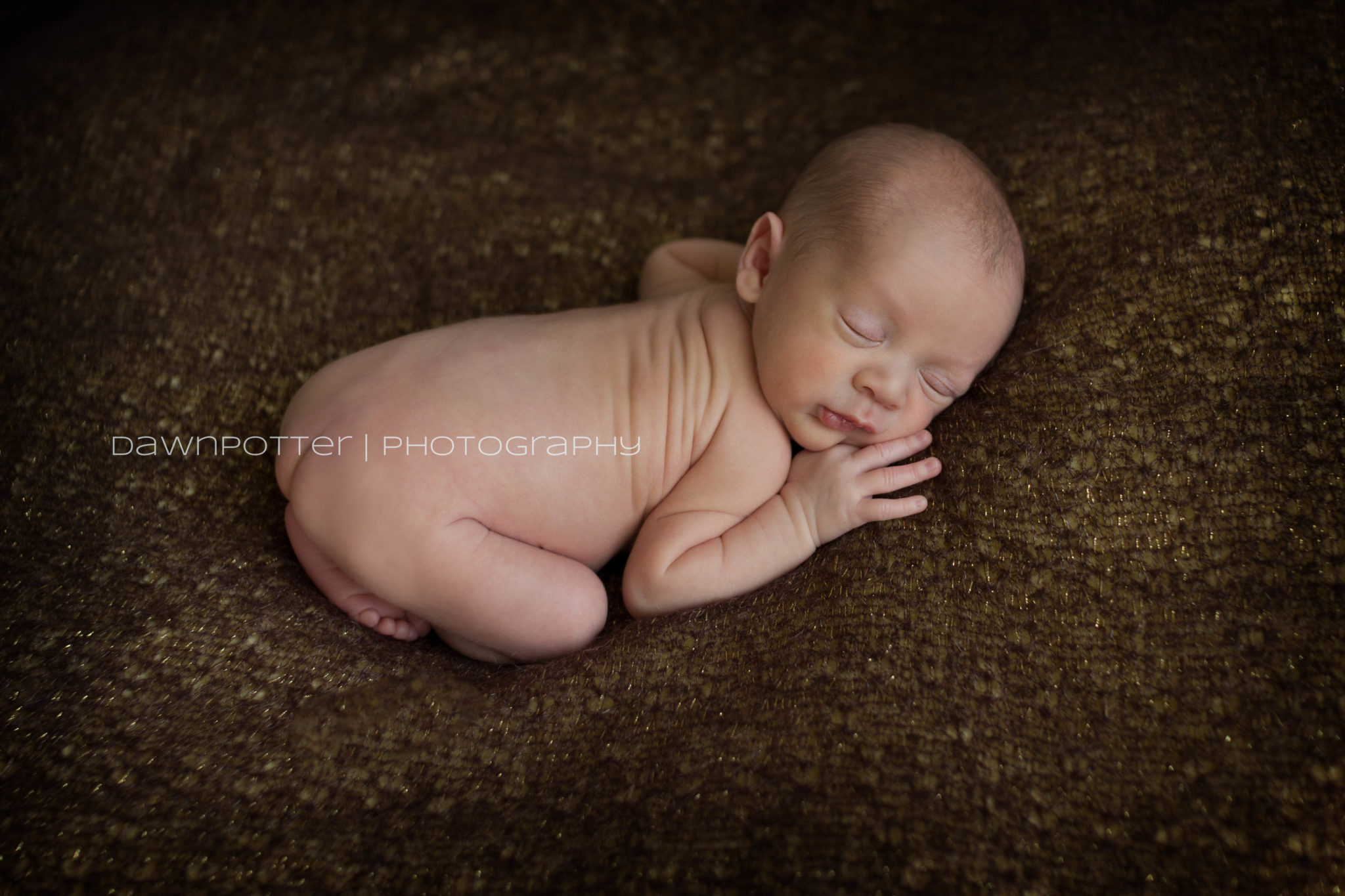 Maple Valley newborn photographer