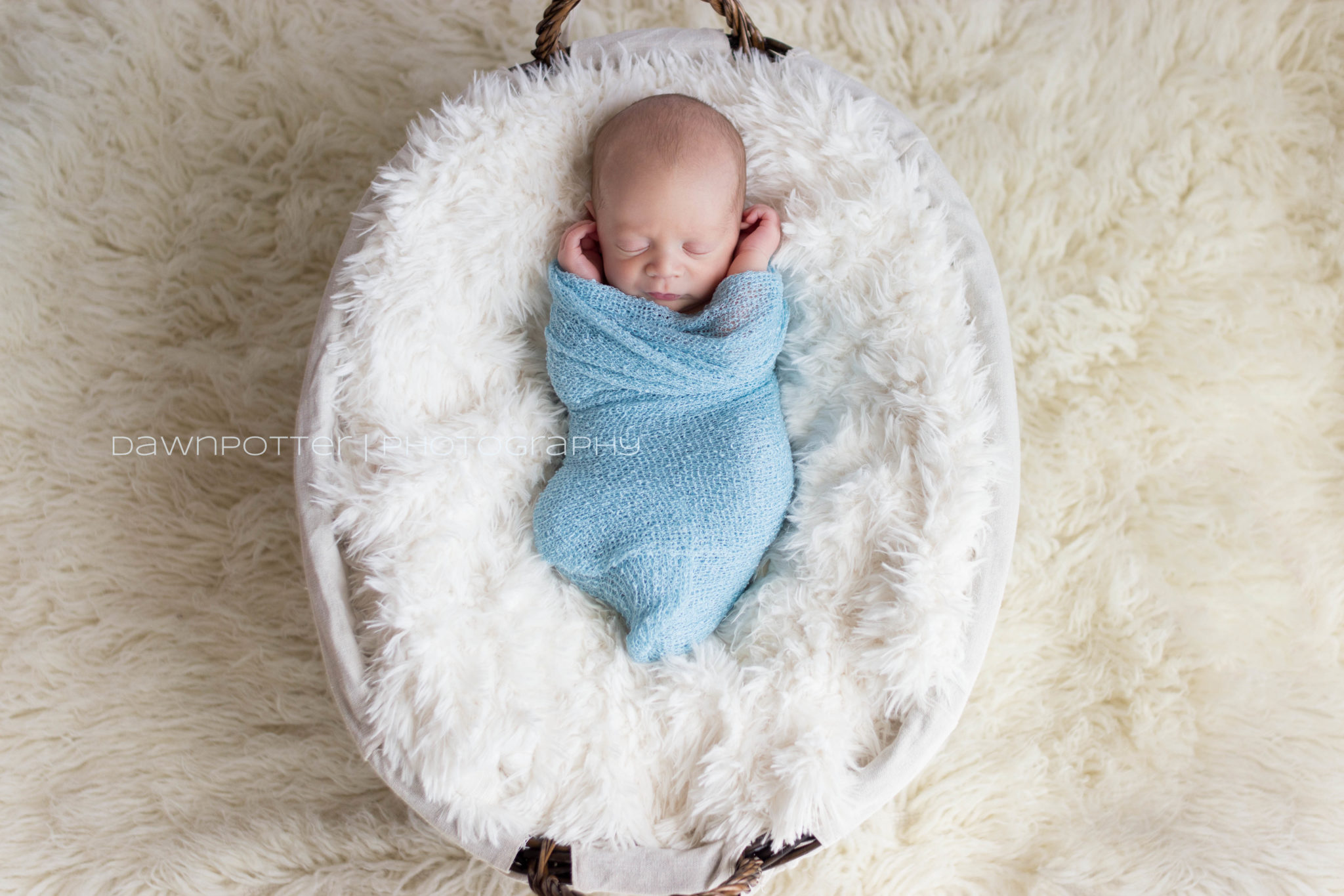 Maple Valley newborn photographer