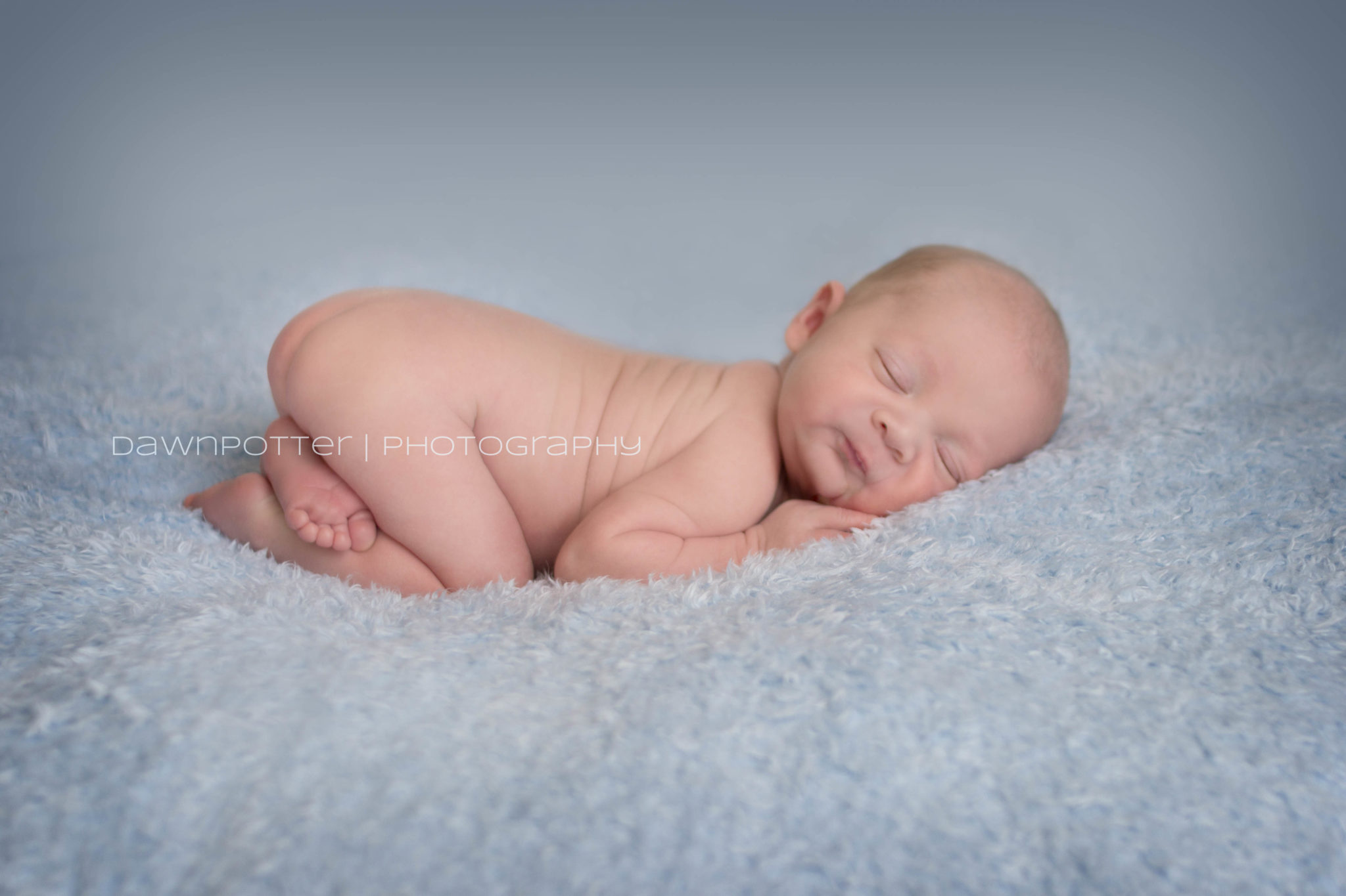 Maple Valley newborn photographer