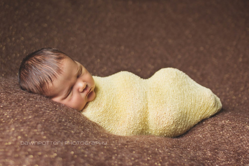 sweet baby boy Adrian- Maple Valley Newborn photographer