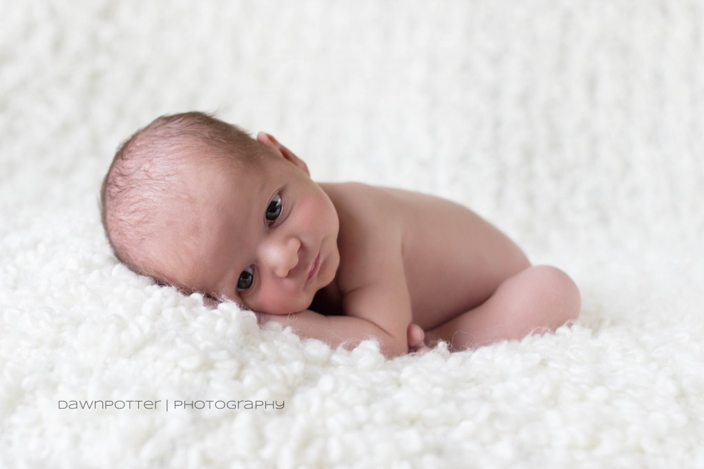 wide awake | maple valley newborn photographer