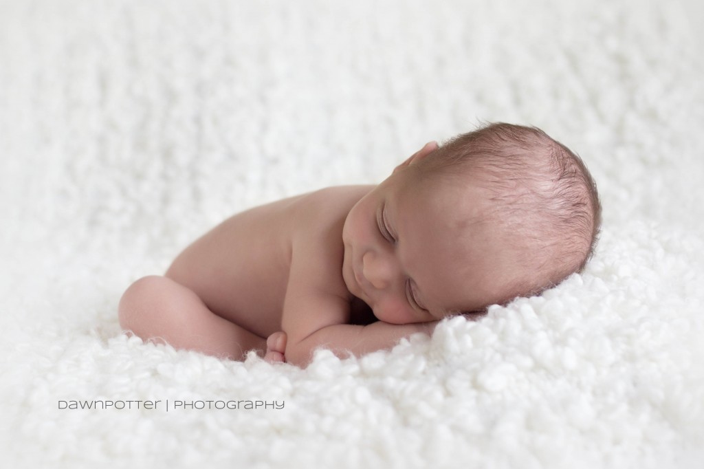 wide awake | maple valley newborn photographer