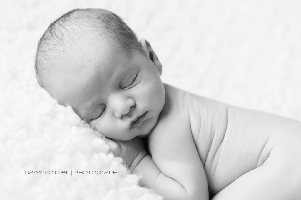 wide awake | maple valley newborn photographer