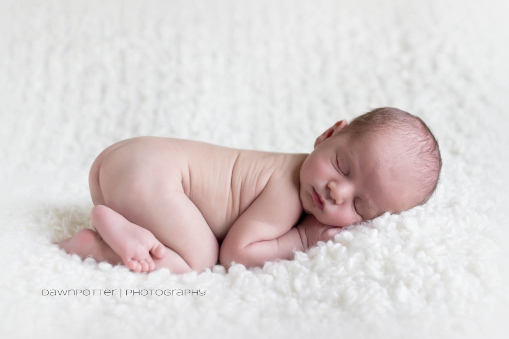 wide awake | maple valley newborn photographer