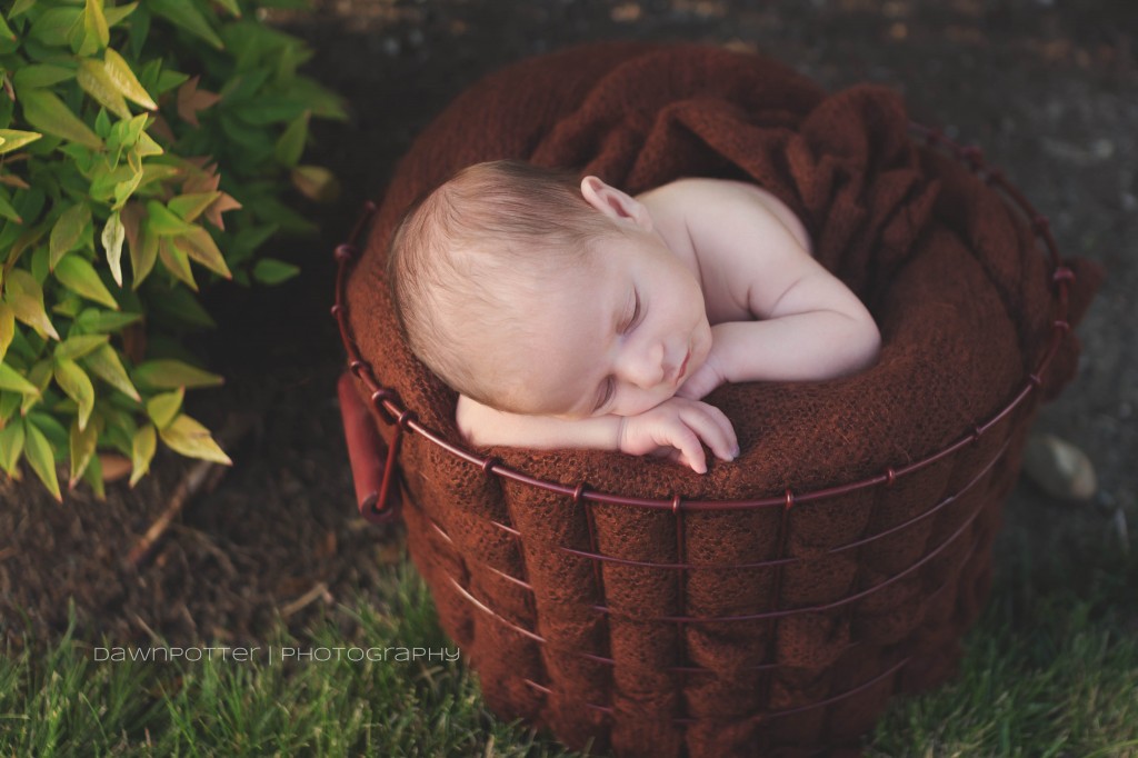 wide awake| outdoor newborn | maple valley newborn photographer