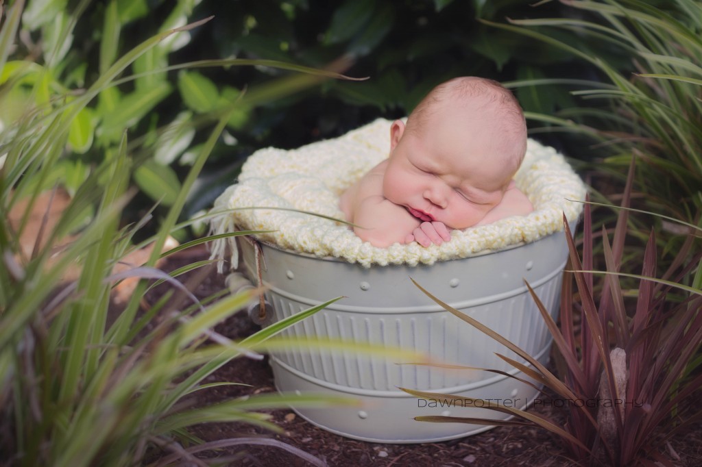 Baby Boy B | Maple Valley Newborn Photographer -10