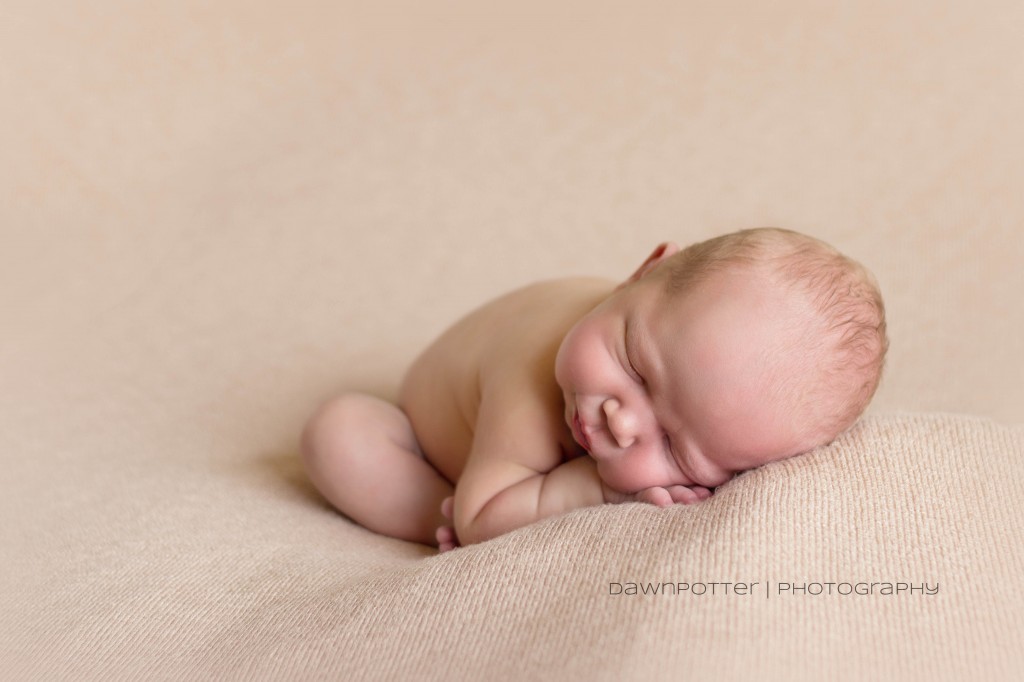 baby boy | 7 days | Maple Valley newborn-baby-maternity photographer