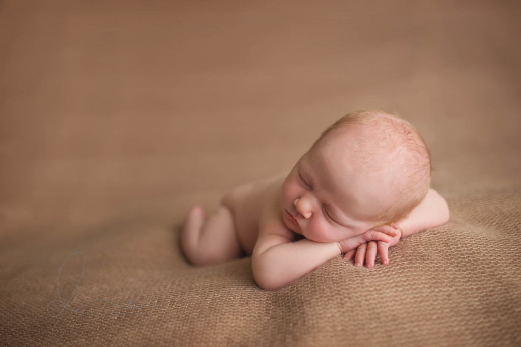 Seattle newborn photographer | newborn baby girl