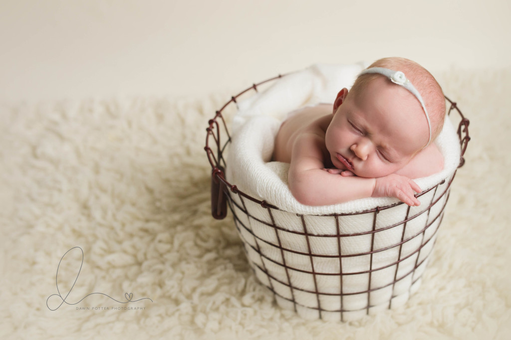 Seattle newborn photographer | newborn baby girl in basket