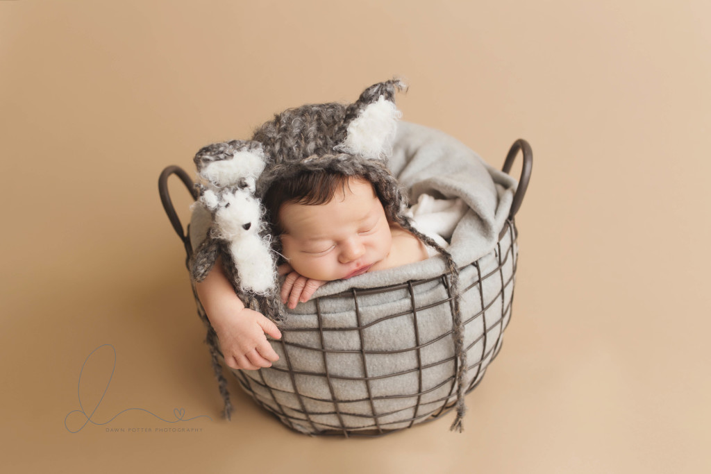 baby boy in basket