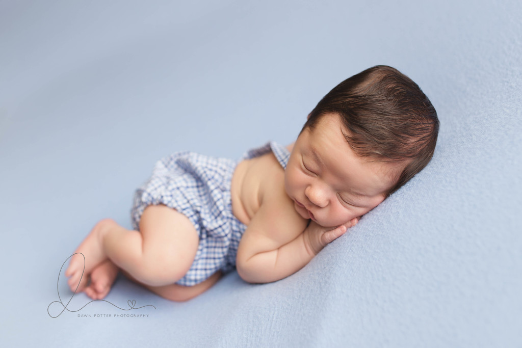 newborn baby wolf | seattle issaquah newborn baby photographer-9