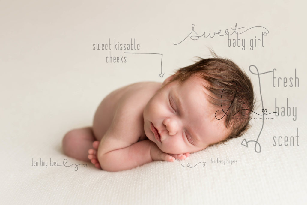 enumclaw newborn photographer | taco pose