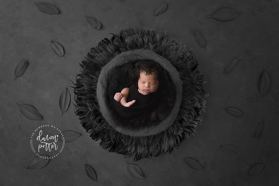 Bellevue Newborn Photographer_0174.jpg Bellevue Newborn Photographer_0174.jpg