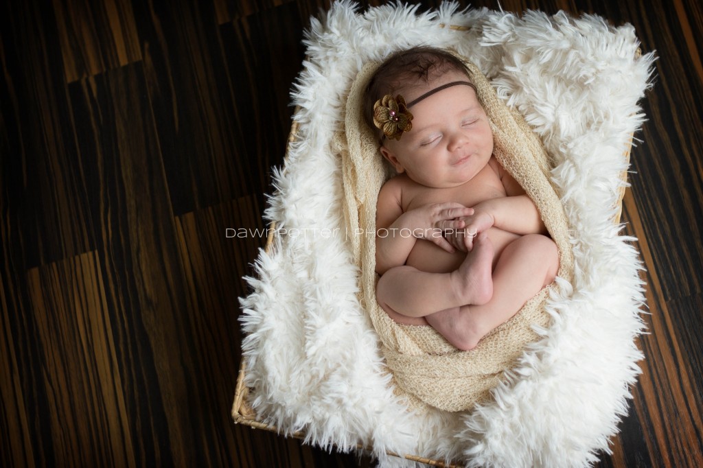darling little girl | Maple Valley newborn-baby-maternity photographer