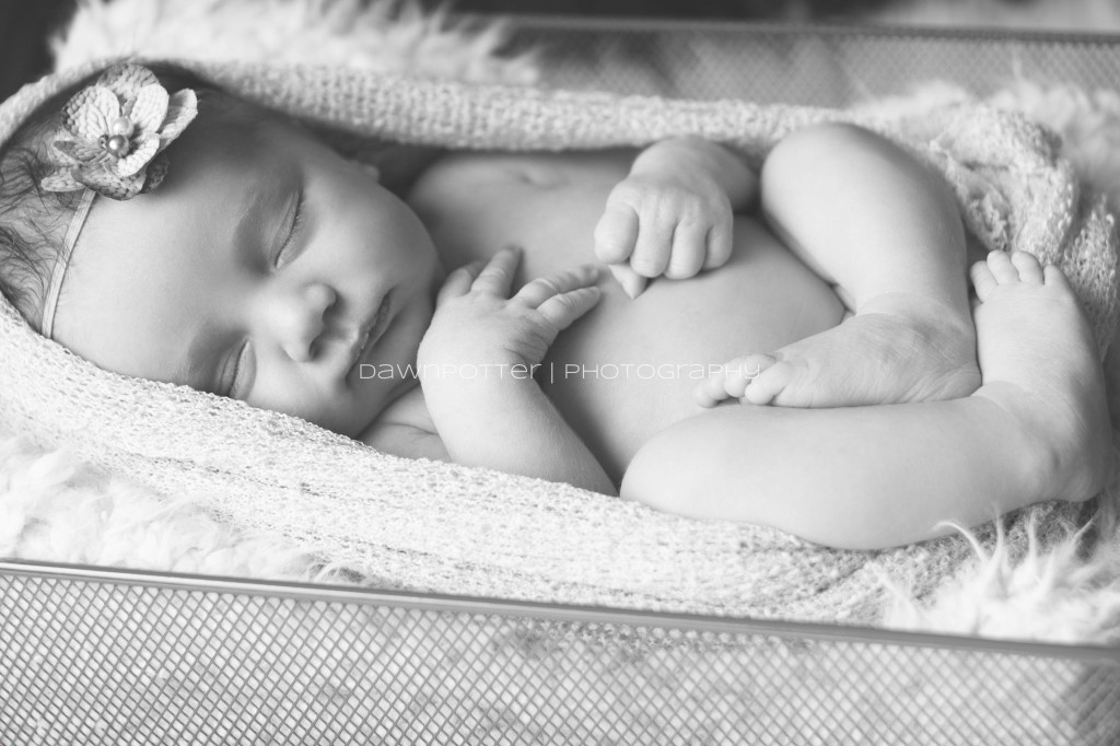 darling little girl | Maple Valley newborn-baby-maternity photographer
