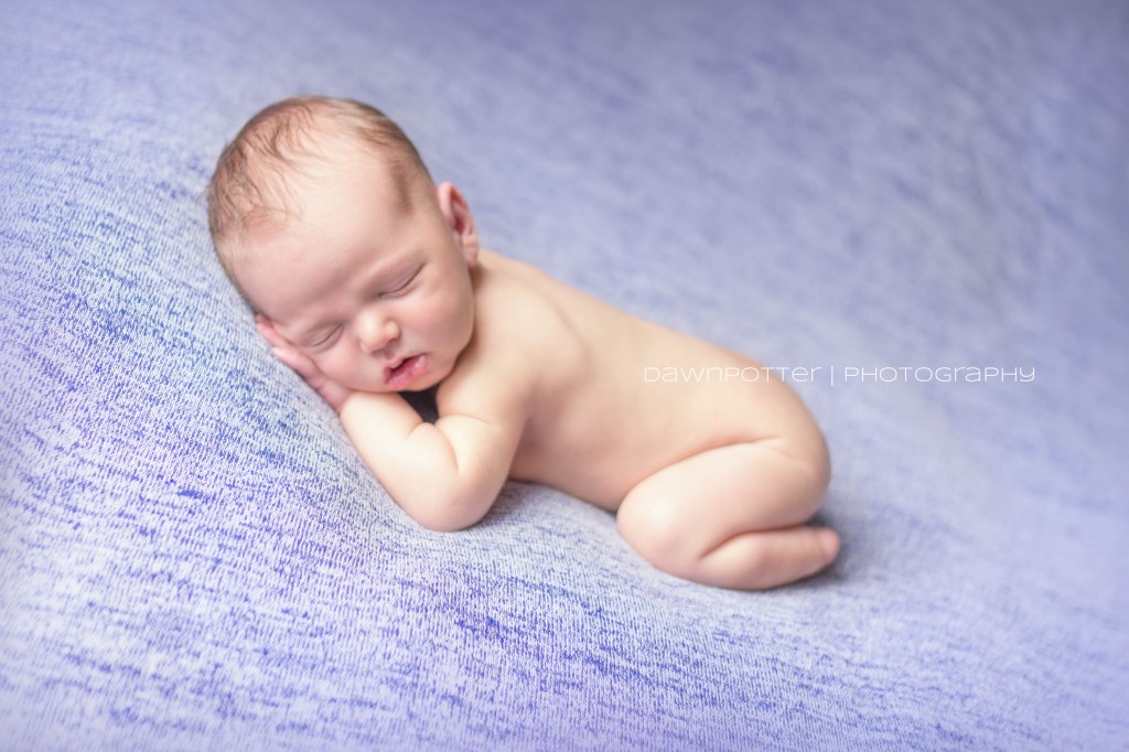 Maple Valley-Seattle newborn photographer