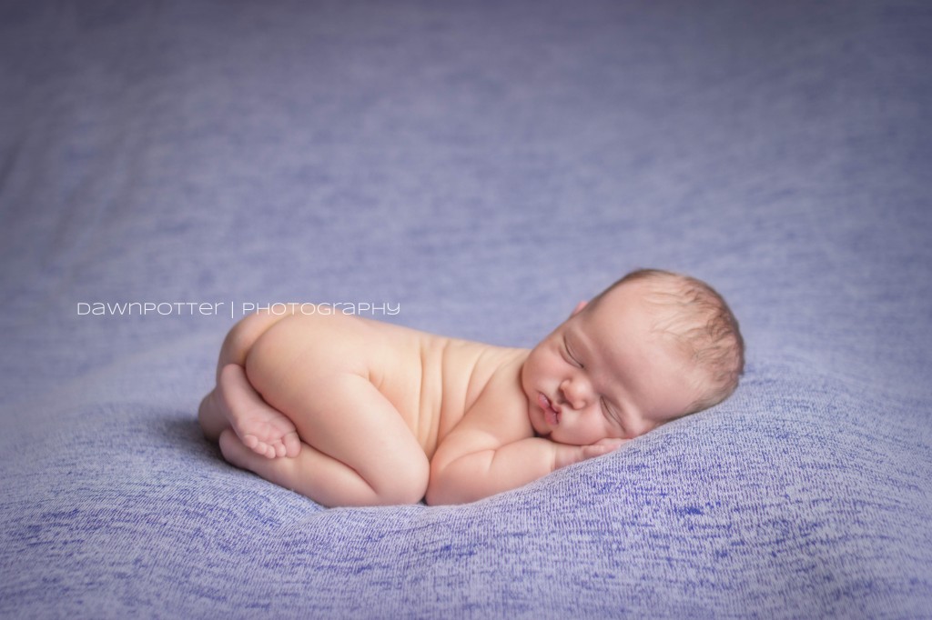 Maple Valley-Seattle newborn photographer