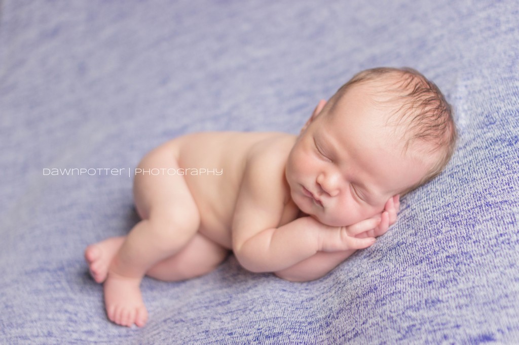 Maple Valley-Seattle newborn photographer