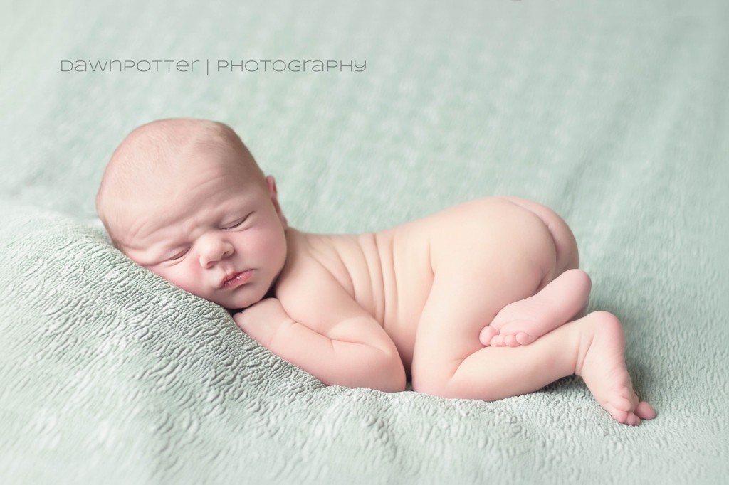 Lochlan | Maple Valley Newborn Photographer -1