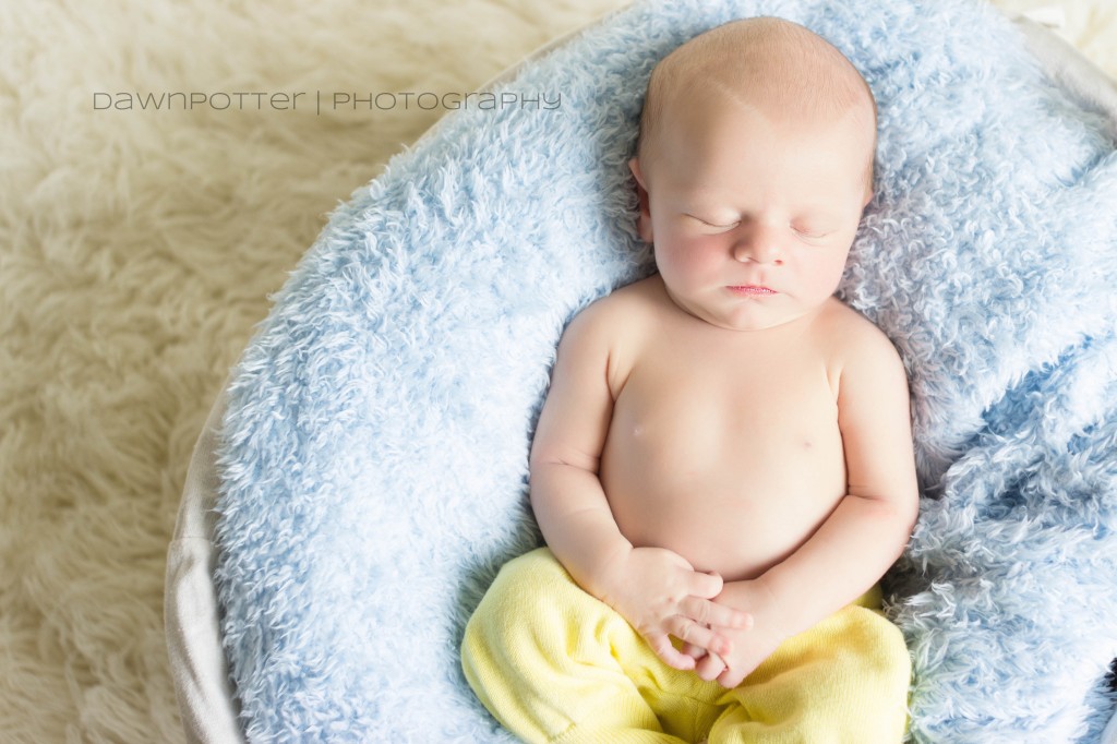 Lochlan | Maple Valley Newborn Photographer -5