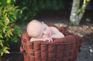 wide awake| outdoor newborn | maple valley newborn photographer