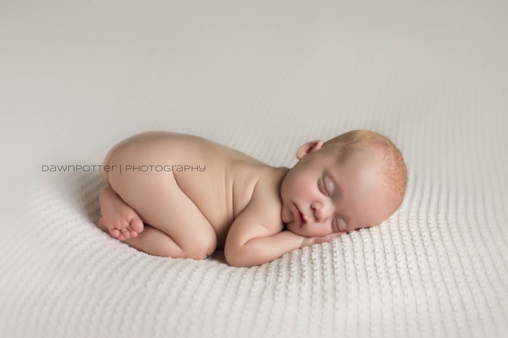 boy girl premie twins | maple valley newborn photographer