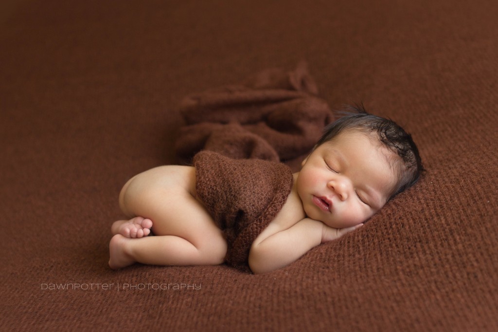 Seattle area newborn photographer