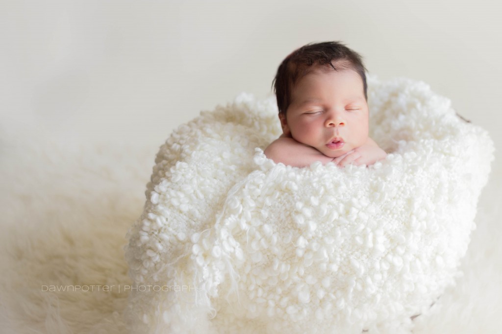 baby boy Keeghan | Maple Valley Newborn Photographer 