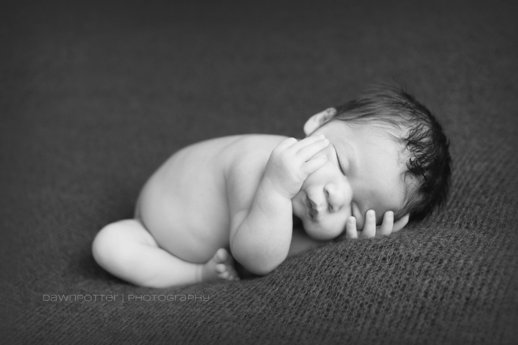 Seattle area newborn photographer