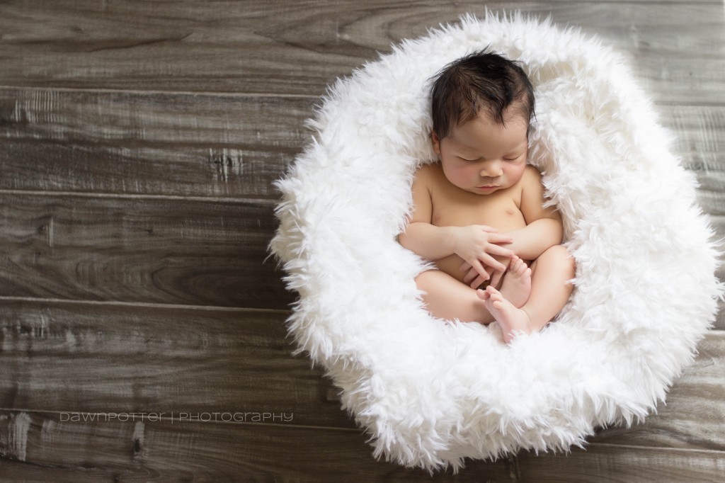 Seattle area newborn photographer