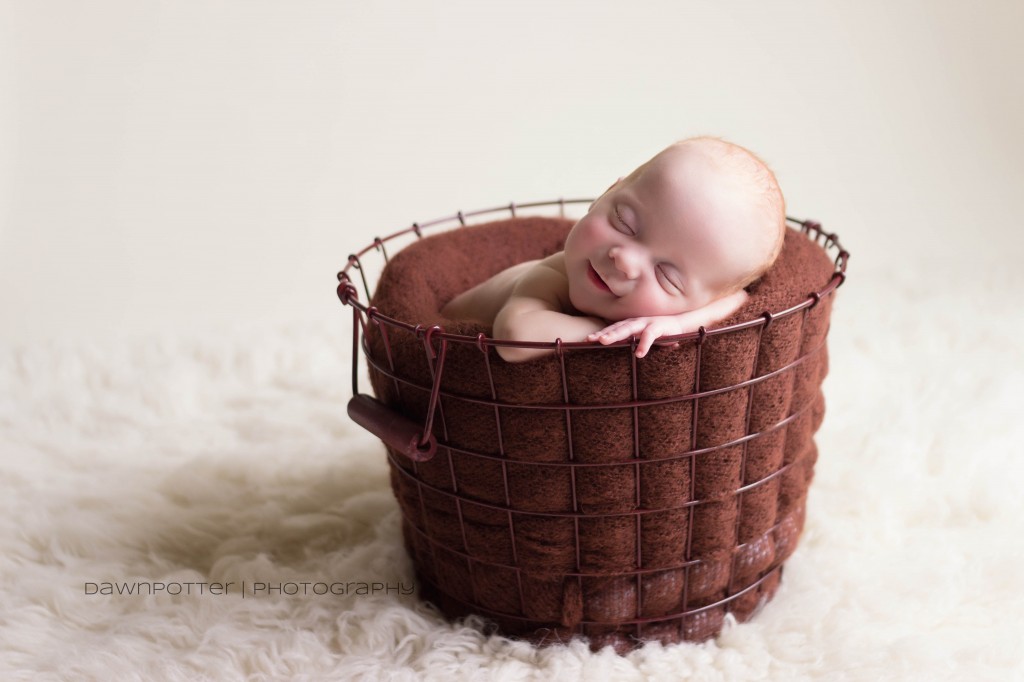 boy girl premie twins | maple valley newborn photographer
