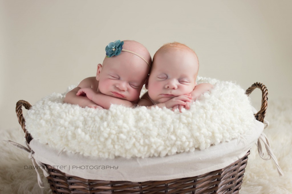 boy girl premie twins | maple valley newborn photographer