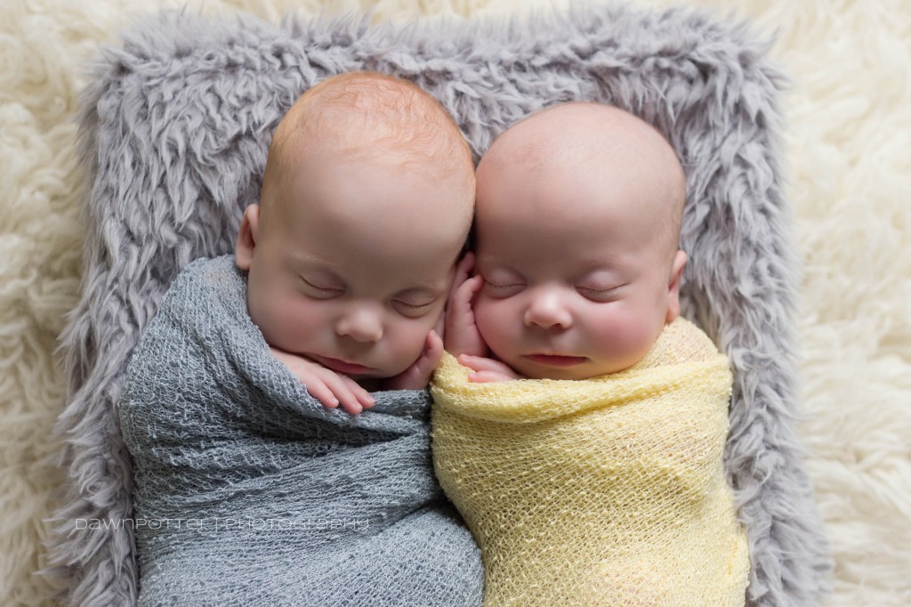 boy girl premie twins | maple valley newborn photographer