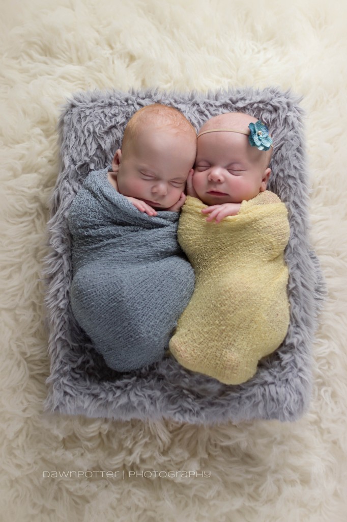 boy girl twins| premie twins | Maple Valley Newborn Photographer -3