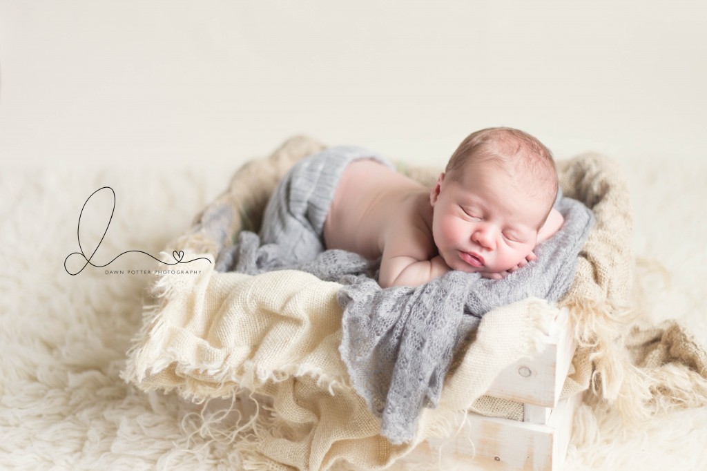 baby boy | Seattle newborn photographer