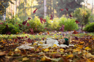 Outdoor Milestone Session | Seattle newborn photographer
