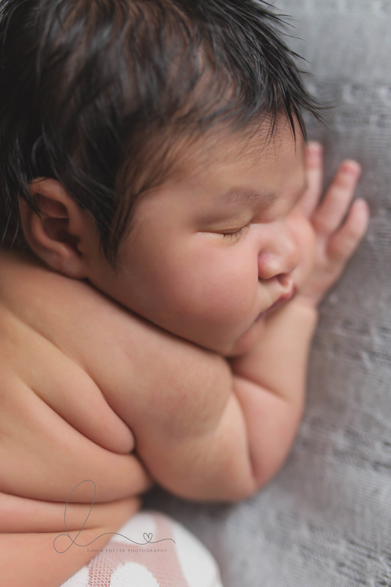 10-pound-baby-girl-seattle-newborn-photography-dawn-potter-photography