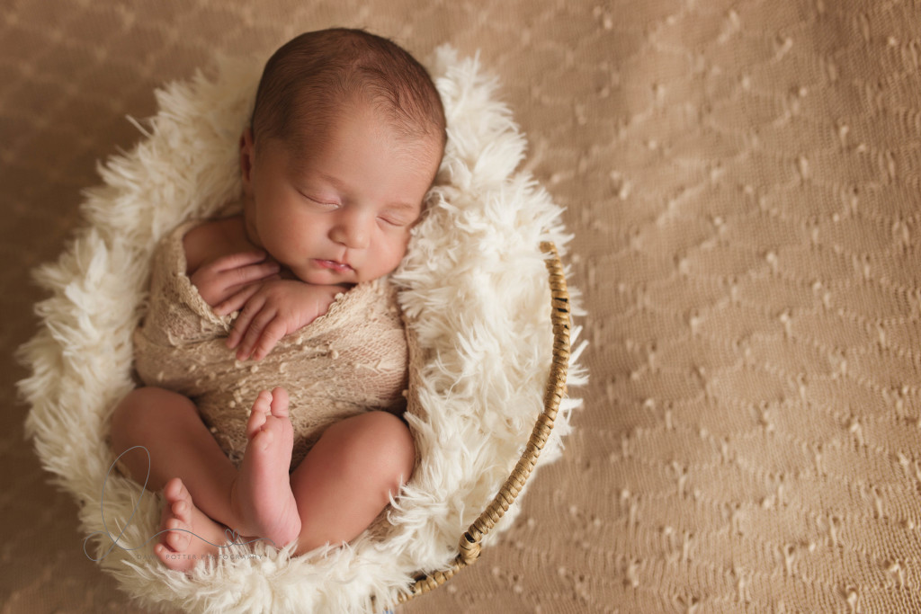 baby in basket | Issaquah-Hobart Newborn Baby Photographer | Maple Valley Newborn Photographer | Seattle Newborn Photographer-Seattle newborn photographer
