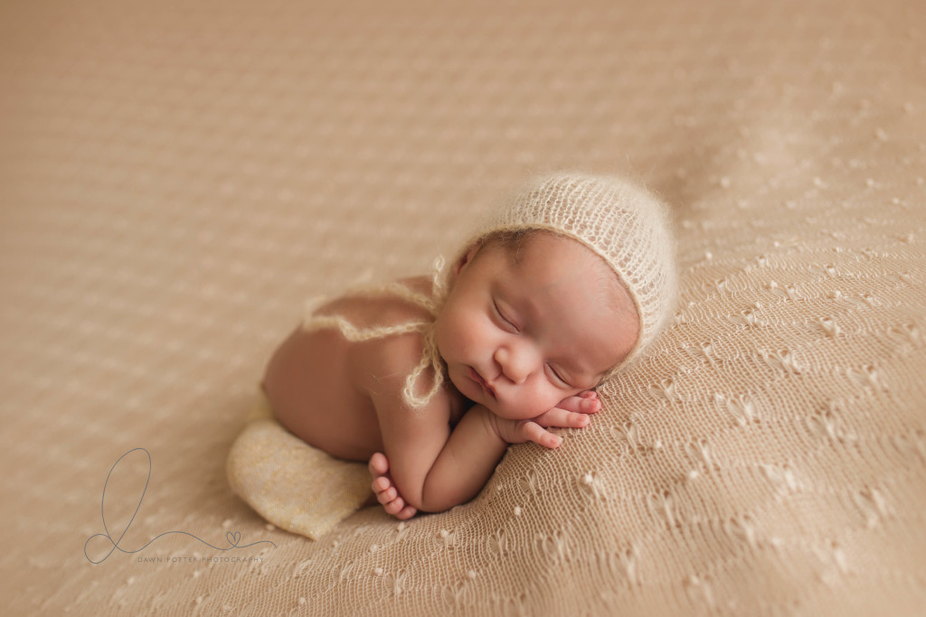 taco pose | Issaquah-Hobart Newborn Baby Photographer | Maple Valley Newborn Photographer | Seattle Newborn Photographer-Seattle newborn photographer