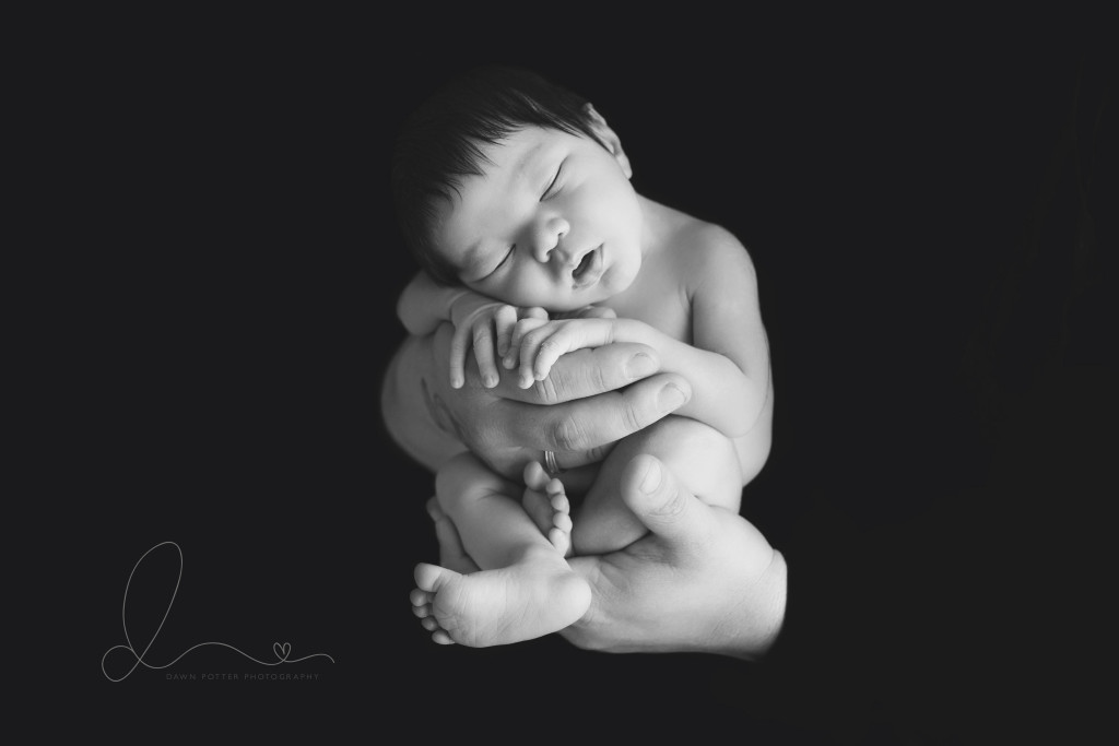 in daddy's hands | Belleuve Maple Valley newborn baby photographer