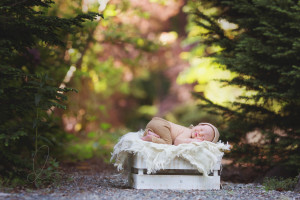 outdoor newborn | maple valley eastside newborn baby photographer