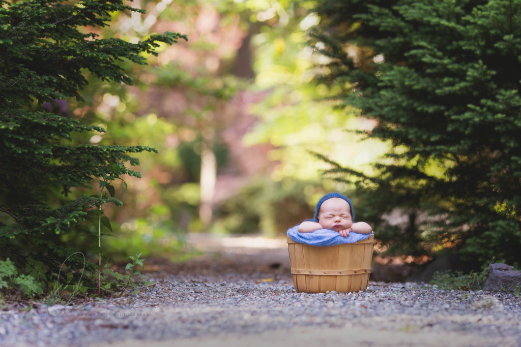 outdoor newborn | maple valley eastside newborn baby photographer