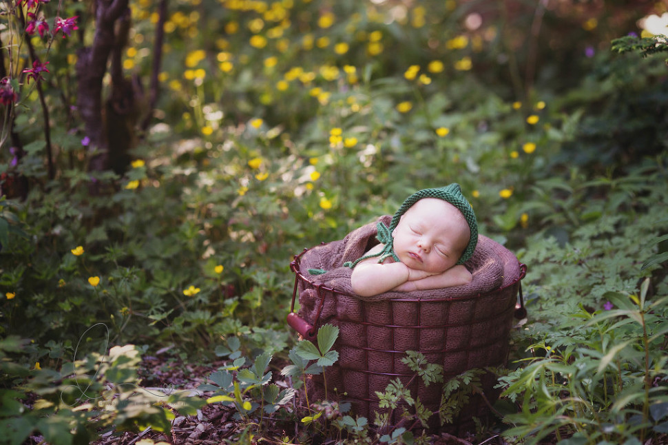  Outdoor  Newborn  Maple Valley Eastside Newborn  Baby  