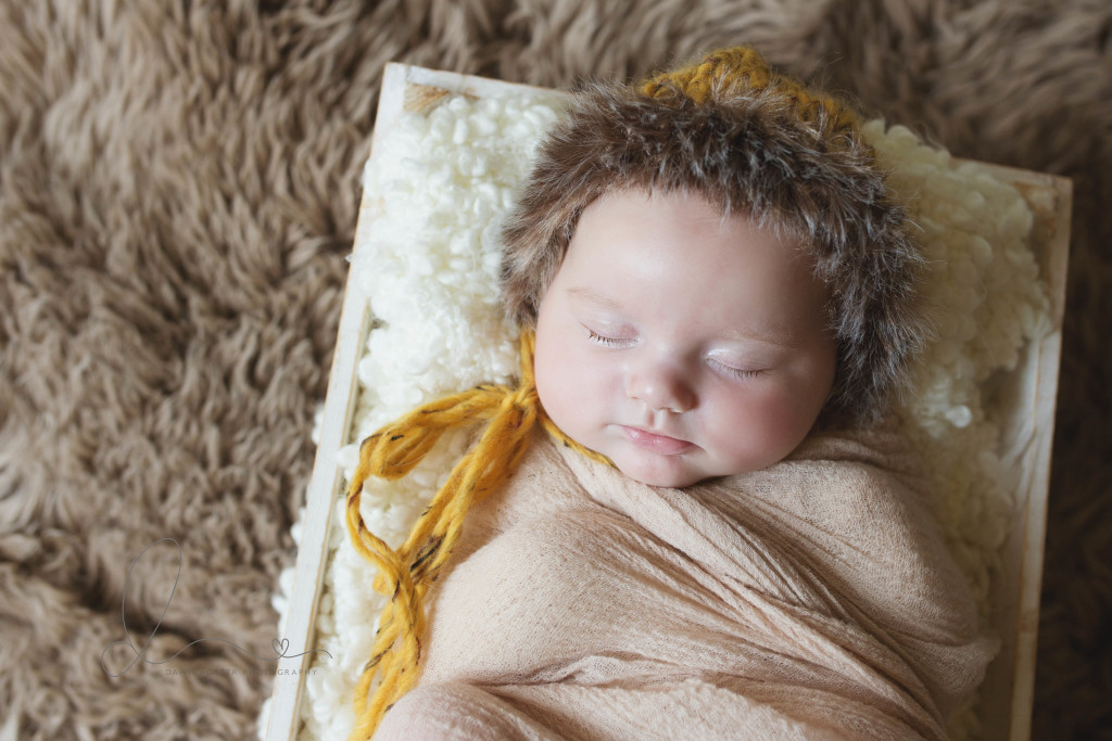 2 month old newborn | maple Valley Eastside newborn baby photographer