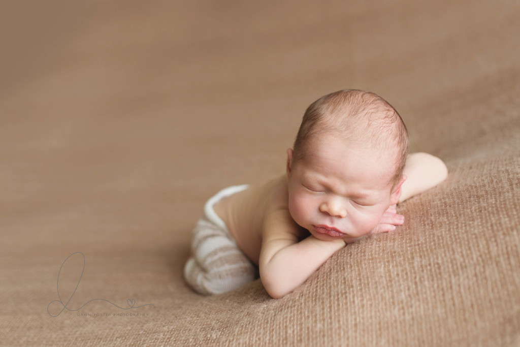 Head on Hands Pose | sweet newborn baby boy | Bellevue Kirkland newborn baby photographer