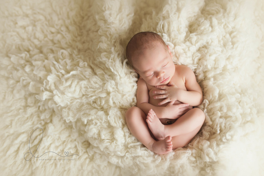 sweet newborn baby boy | Bellevue Kirkland newborn baby photographer