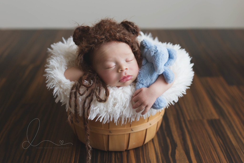 Baby in Basket | sweet newborn baby boy | Bellevue Kirkland newborn baby photographer
