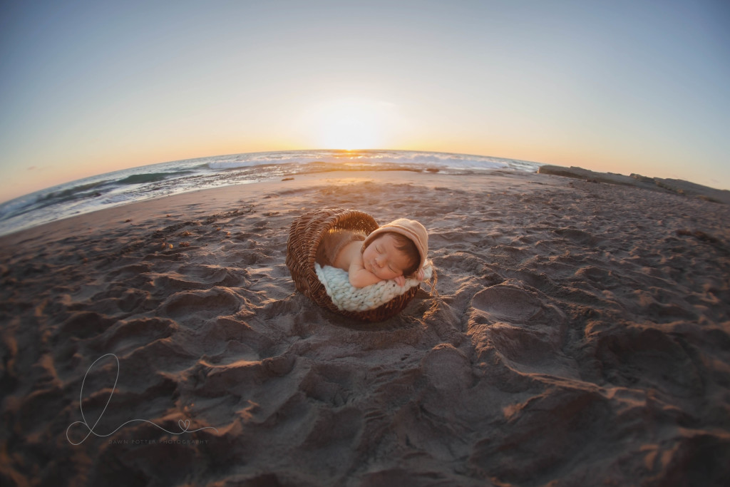 fisheye newborn | Beach newborn session | Seattle Kirkland newborn-baby photographer