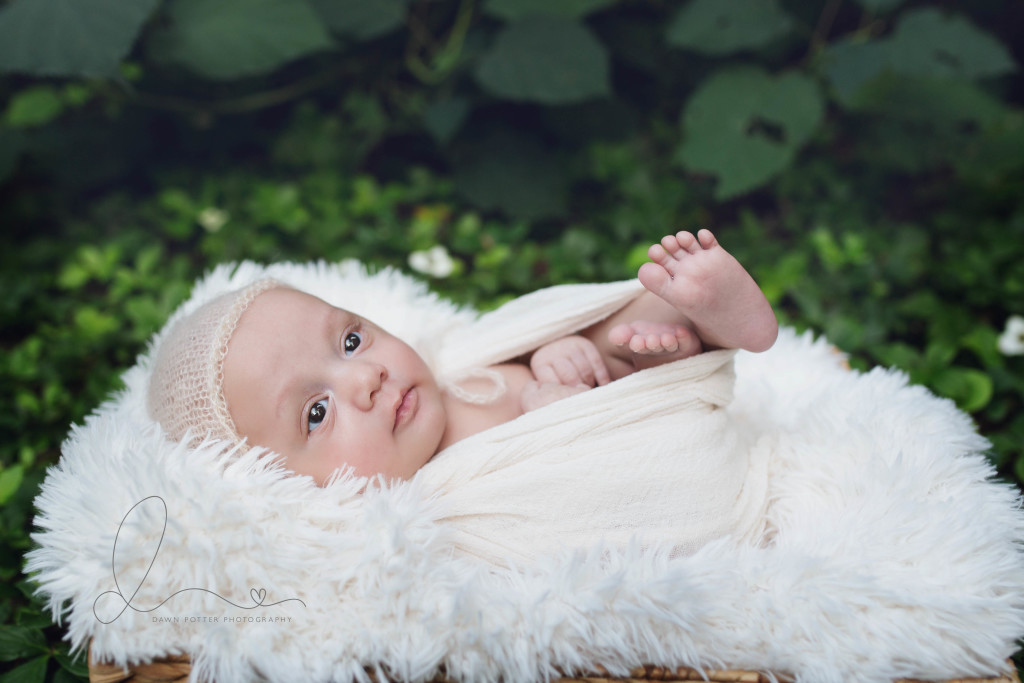 two month baby boy newborn session outdoors | seattle maple valley newborn baby photographer 