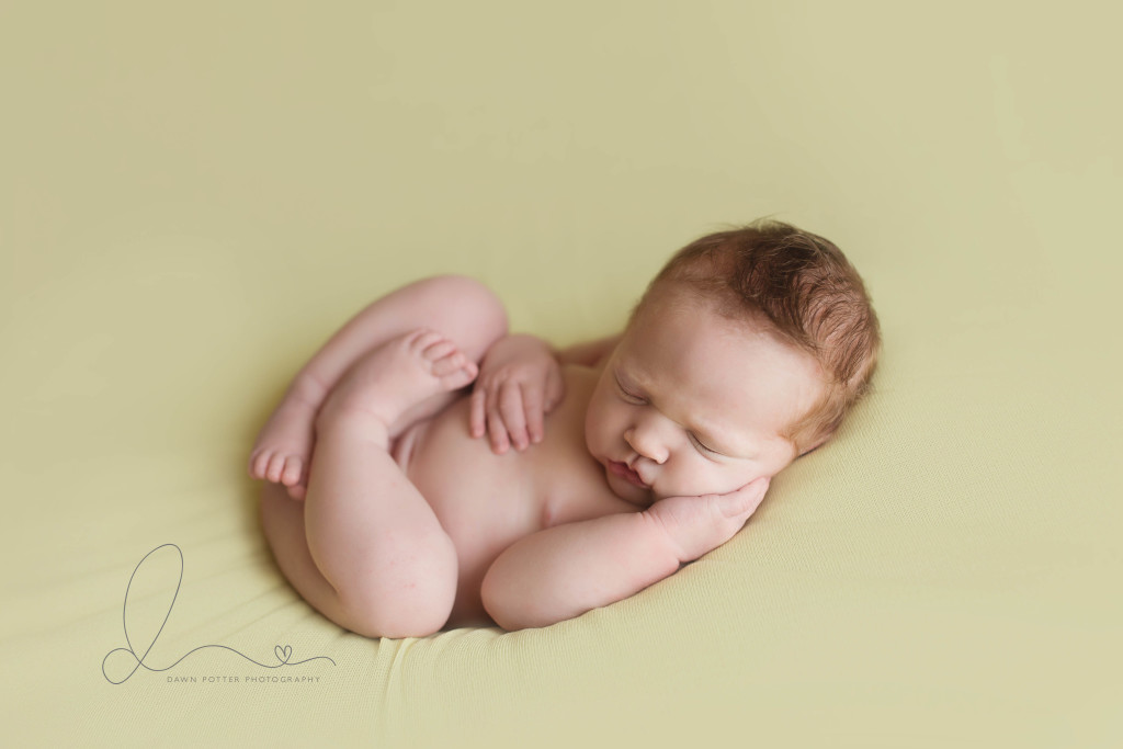 seattle baby photographer | baby girl curled up | maple valley newborn photographer